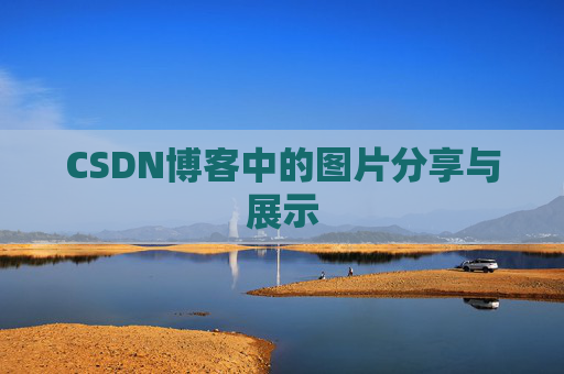 CSDN博客中的图片分享与展示